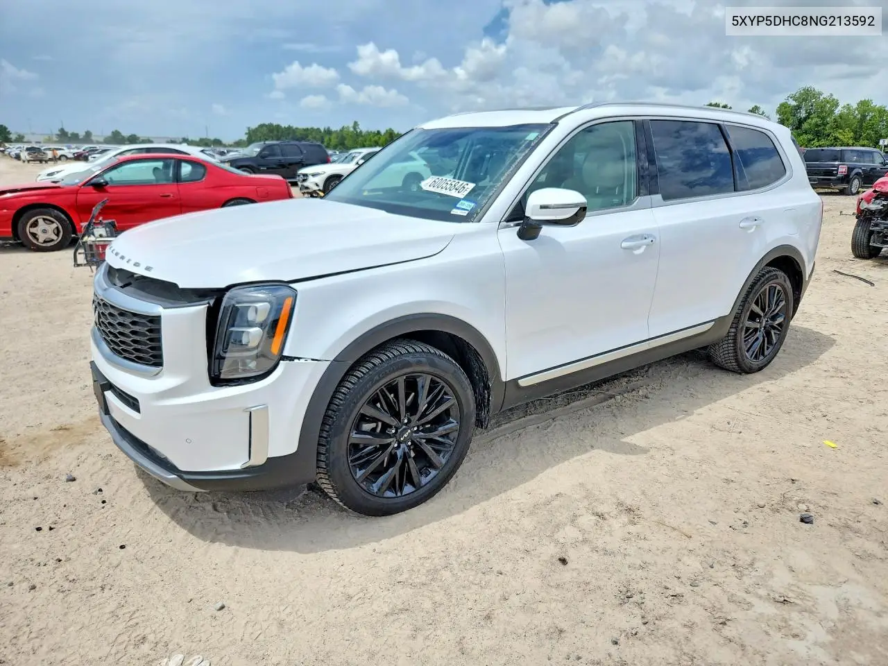 2022 Kia Telluride VIN: 5XYP5DHC8NG213592 Lot: 60055846
