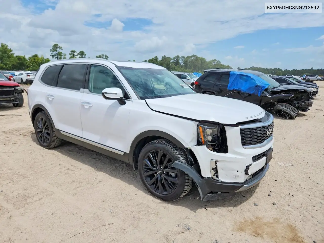 2022 Kia Telluride VIN: 5XYP5DHC8NG213592 Lot: 60055846