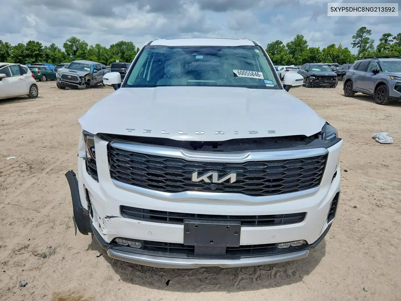 2022 Kia Telluride VIN: 5XYP5DHC8NG213592 Lot: 60055846