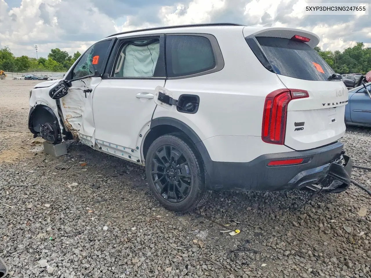 2022 Kia Telluride Ex VIN: 5XYP3DHC3NG247655 Lot: 60061916