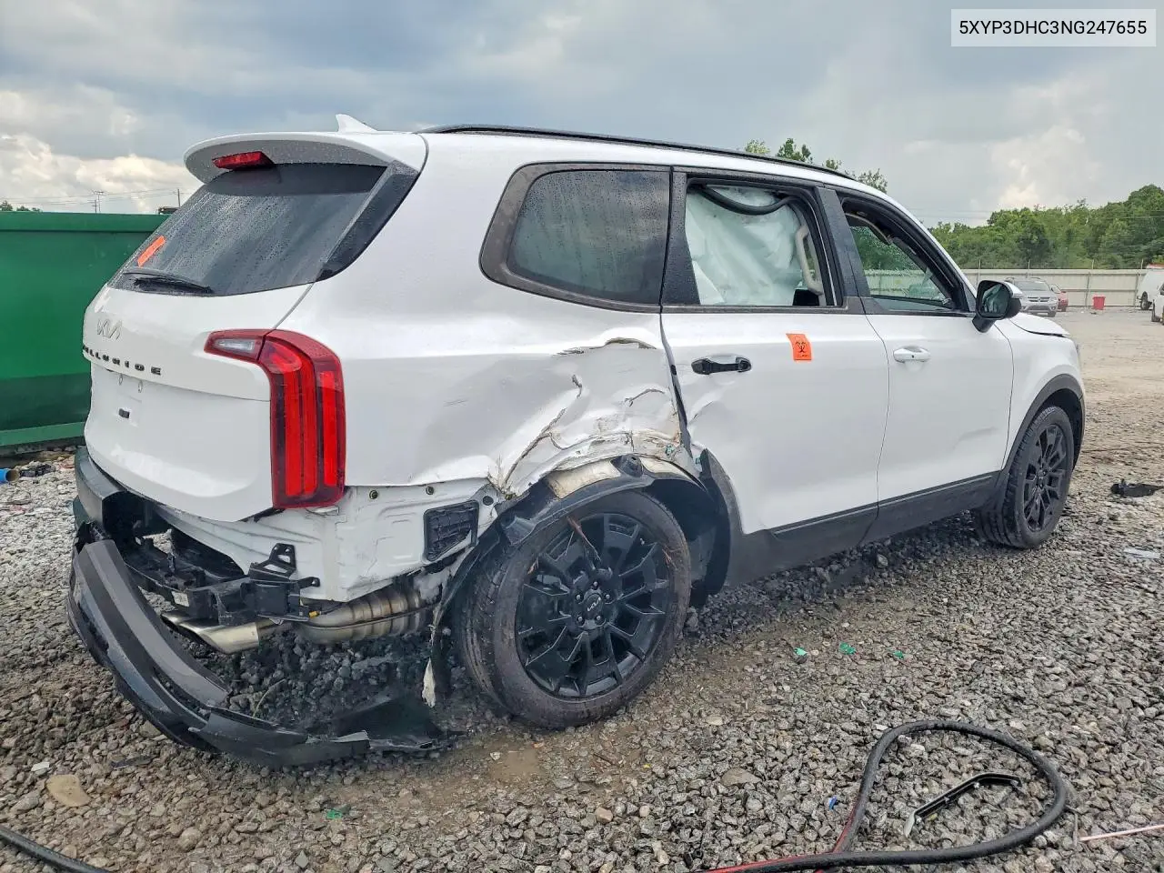 2022 Kia Telluride Ex VIN: 5XYP3DHC3NG247655 Lot: 60061916