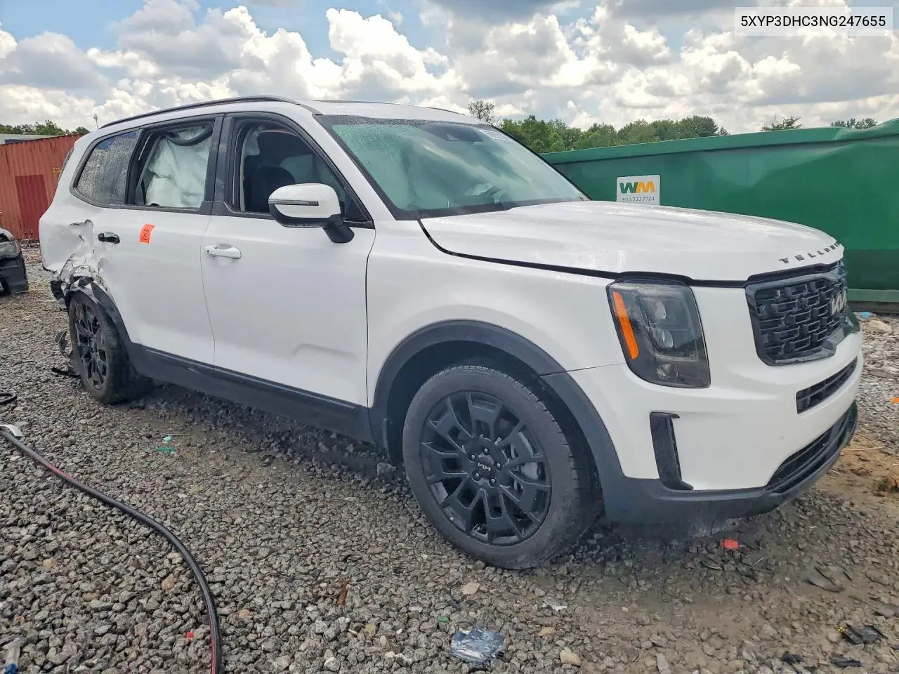 2022 Kia Telluride Ex VIN: 5XYP3DHC3NG247655 Lot: 60061916