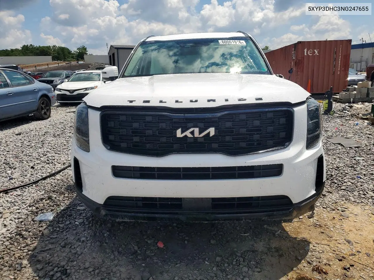 2022 Kia Telluride Ex VIN: 5XYP3DHC3NG247655 Lot: 60061916