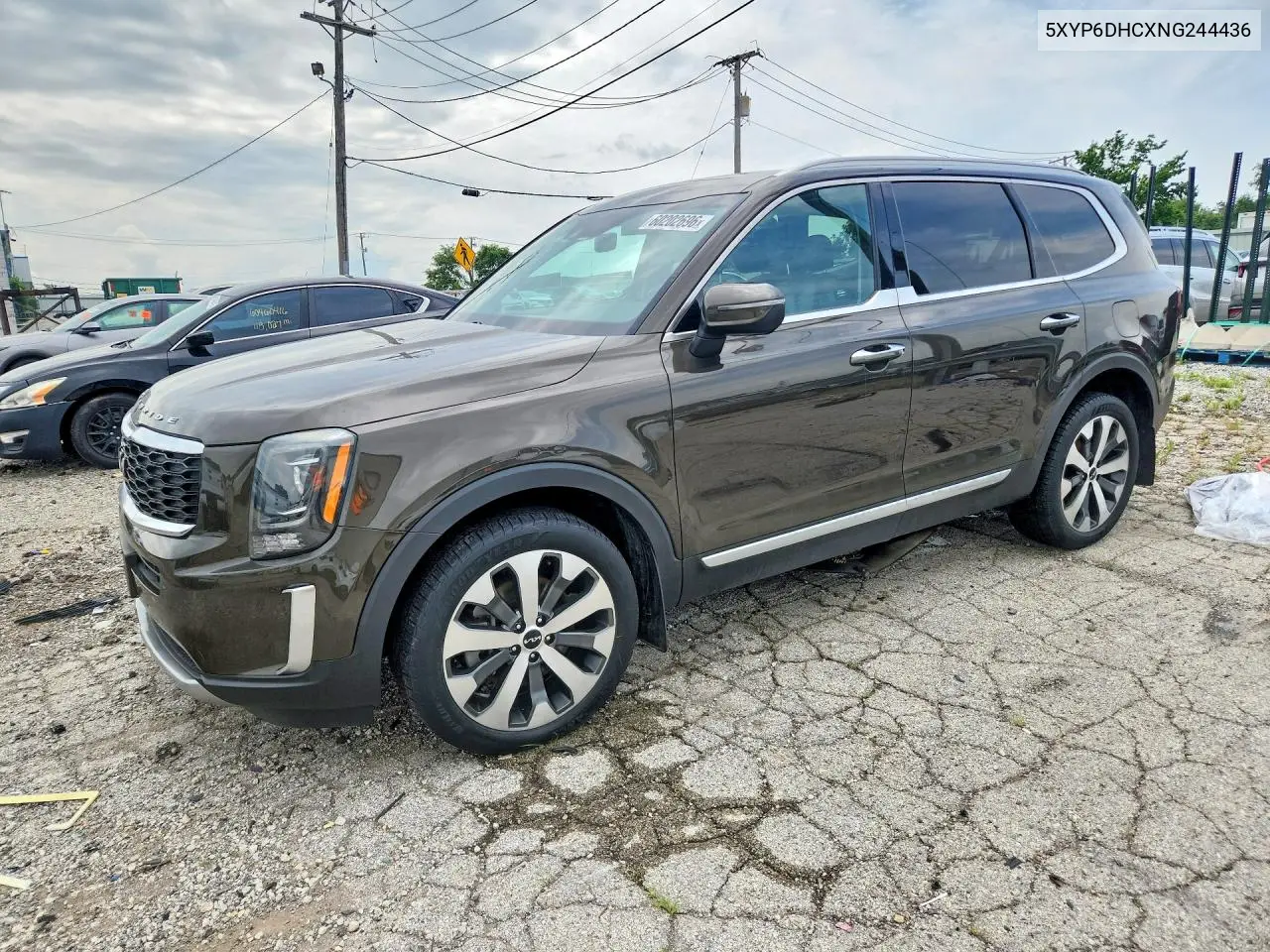 2022 Kia Telluride S VIN: 5XYP6DHCXNG244436 Lot: 60202696