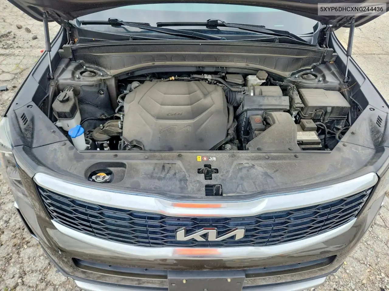 2022 Kia Telluride S VIN: 5XYP6DHCXNG244436 Lot: 60202696