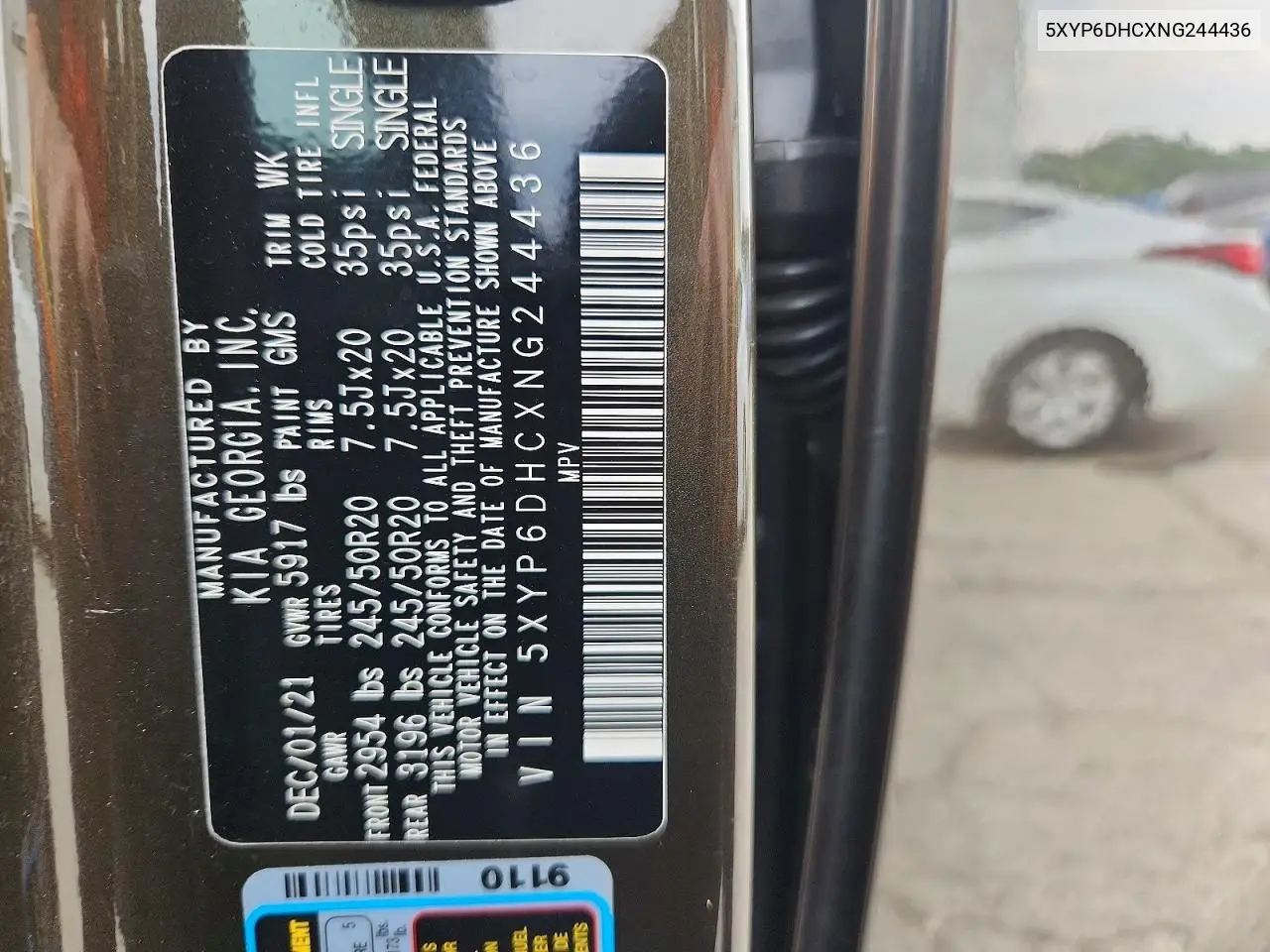 2022 Kia Telluride S VIN: 5XYP6DHCXNG244436 Lot: 60202696