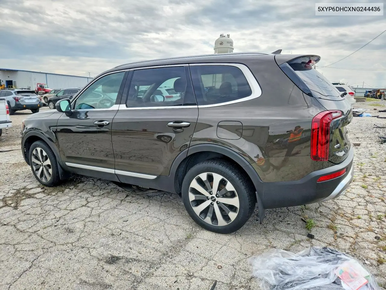 2022 Kia Telluride S VIN: 5XYP6DHCXNG244436 Lot: 60202696