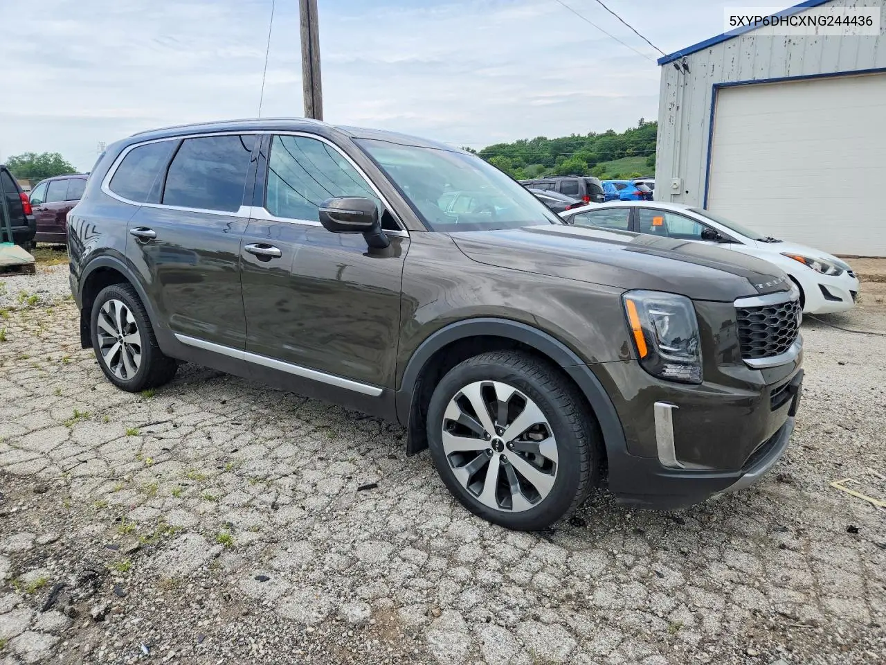 2022 Kia Telluride S VIN: 5XYP6DHCXNG244436 Lot: 60202696
