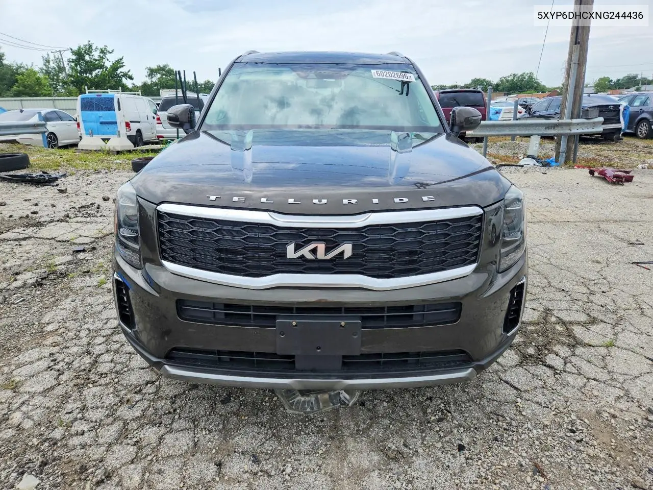 2022 Kia Telluride S VIN: 5XYP6DHCXNG244436 Lot: 60202696