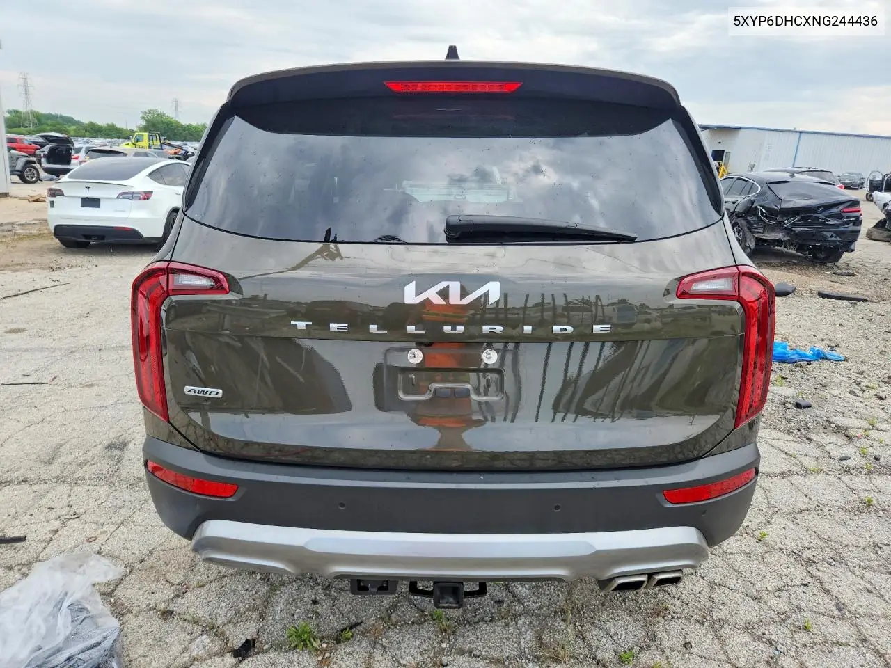 2022 Kia Telluride S VIN: 5XYP6DHCXNG244436 Lot: 60202696