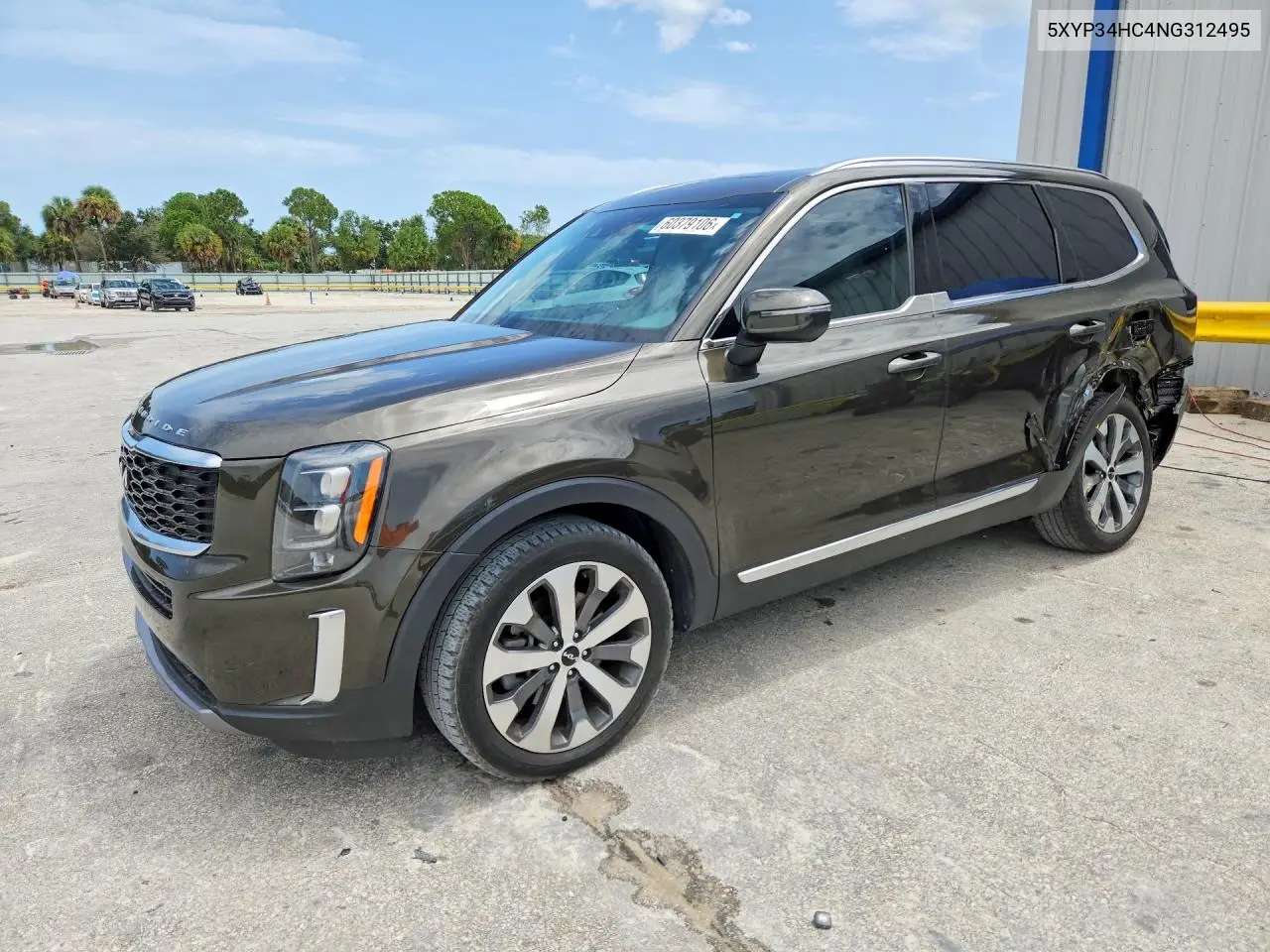 2022 Kia Telluride Ex VIN: 5XYP34HC4NG312495 Lot: 60379106