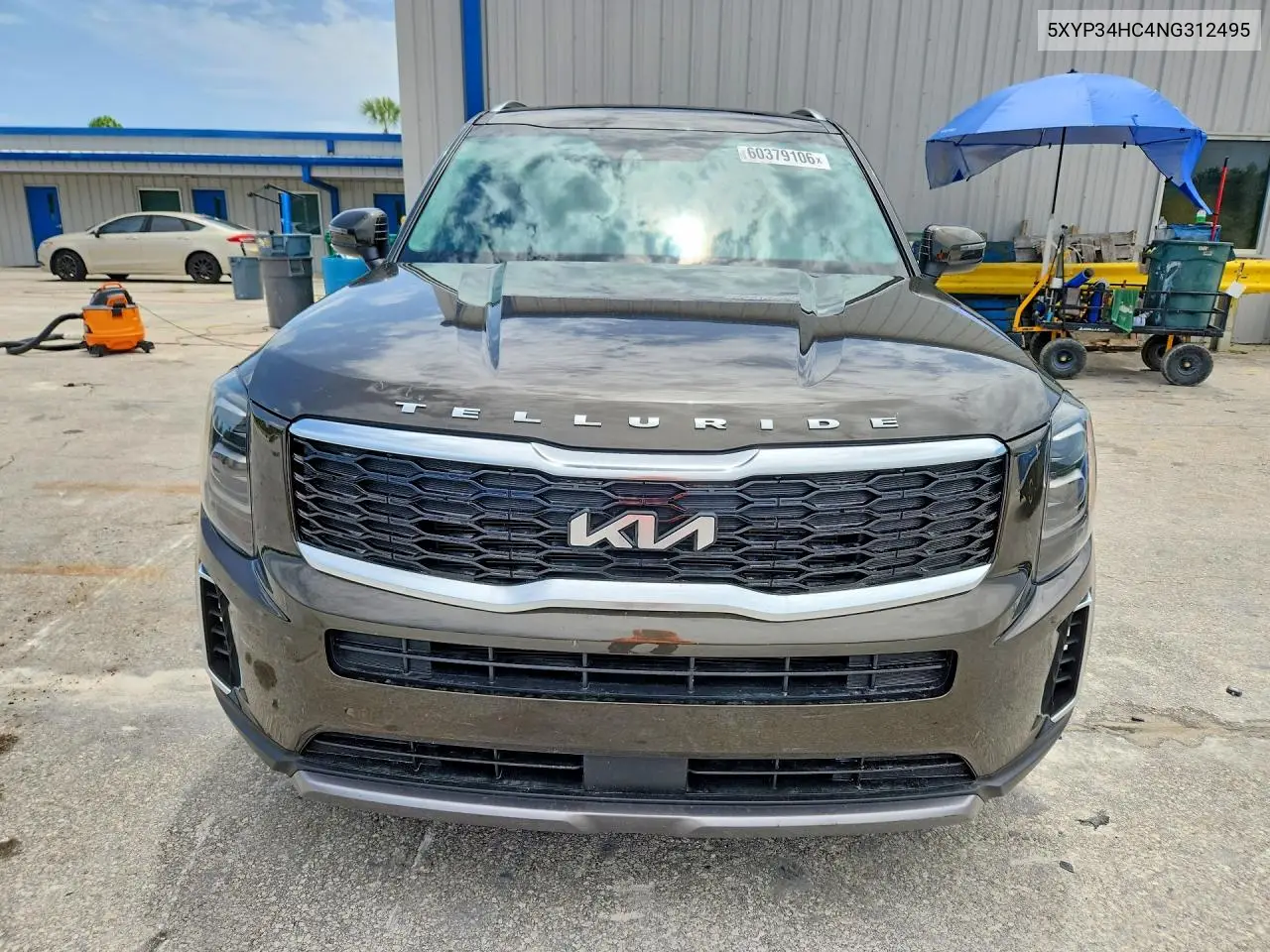 2022 Kia Telluride Ex VIN: 5XYP34HC4NG312495 Lot: 60379106