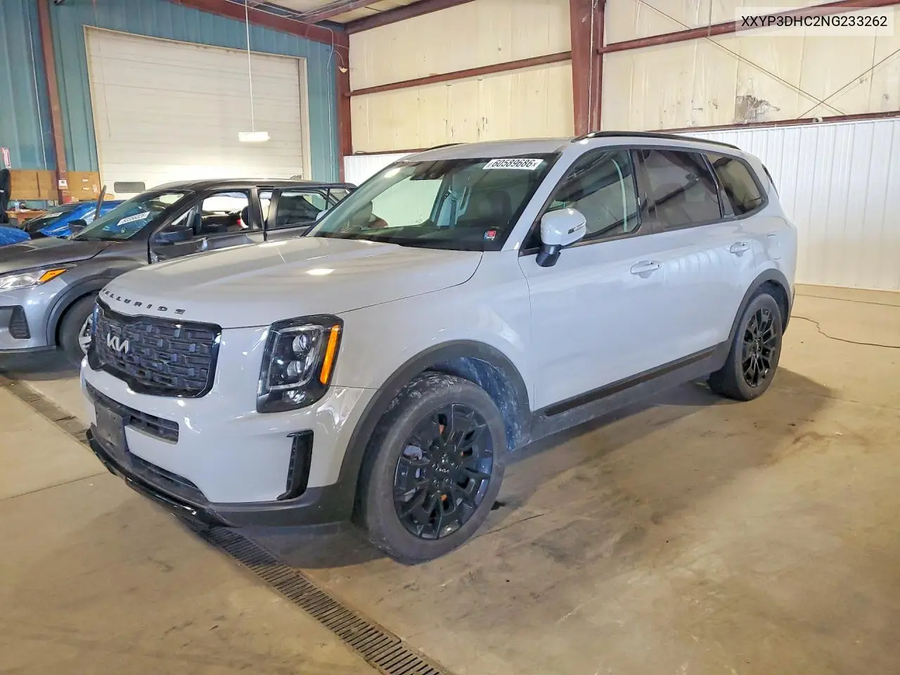 2022 Kia Telluride Lx VIN: 5XYP3DHC2NG233262 Lot: 60589686