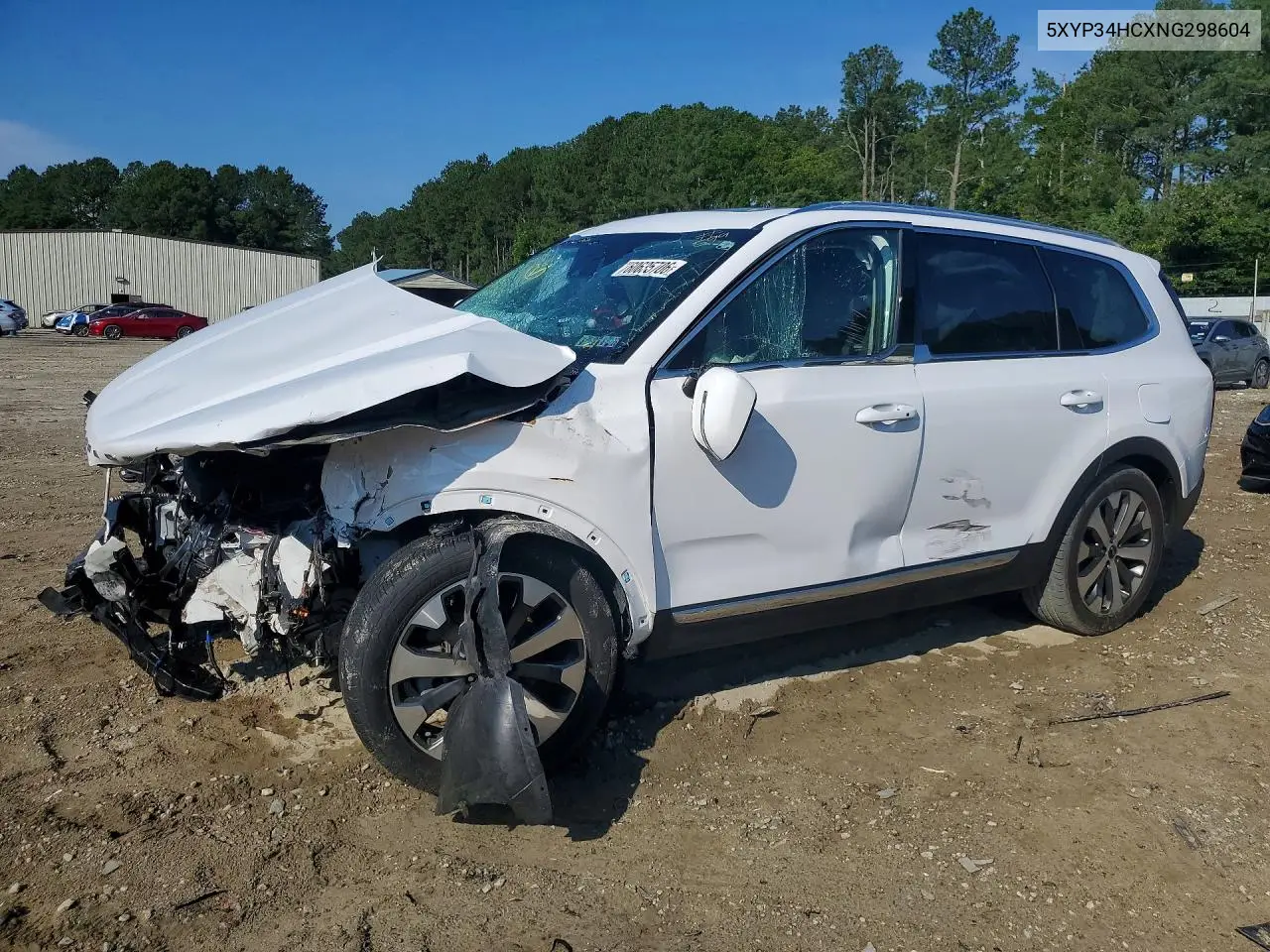 2022 Kia Telluride Ex VIN: 5XYP34HCXNG298604 Lot: 60635706