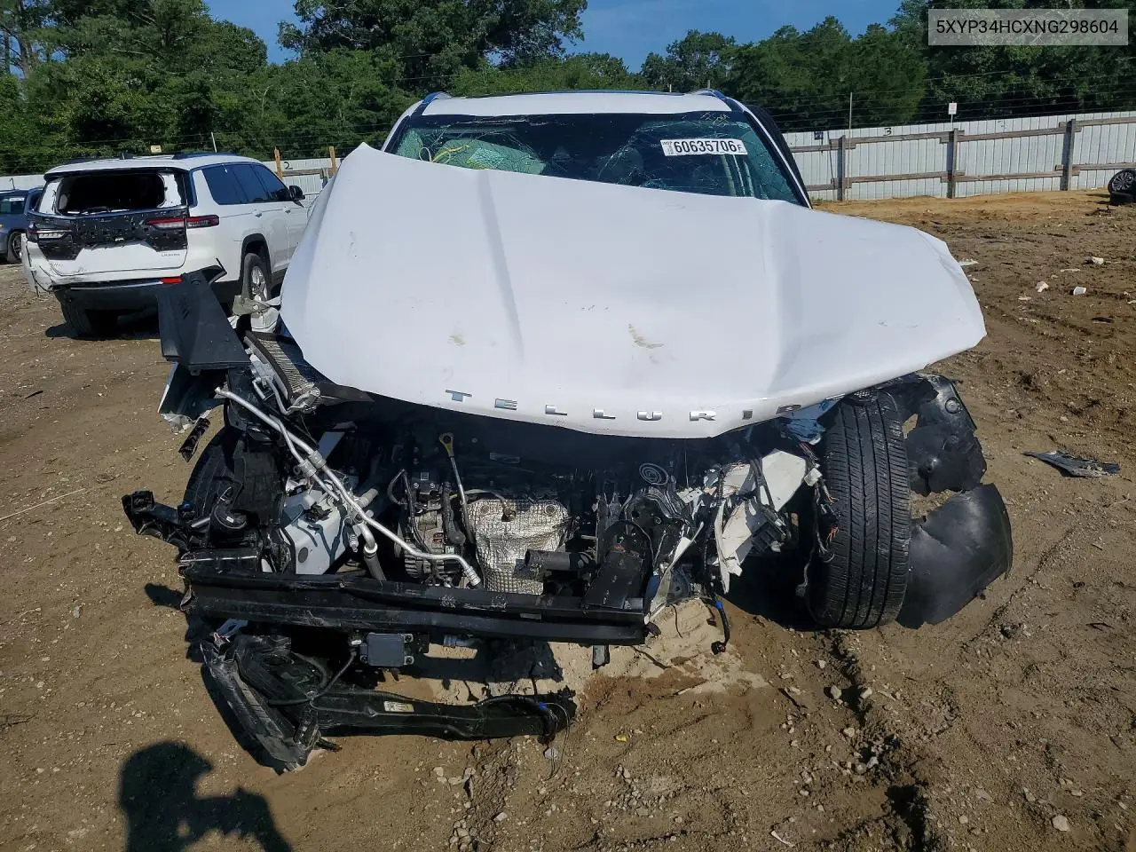 2022 Kia Telluride Ex VIN: 5XYP34HCXNG298604 Lot: 60635706