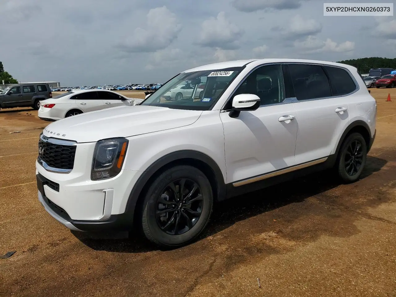 2022 Kia Telluride Lx VIN: 5XYP2DHCXNG260373 Lot: 60824256