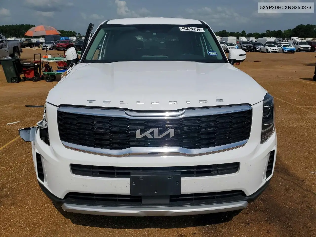 2022 Kia Telluride Lx VIN: 5XYP2DHCXNG260373 Lot: 60824256