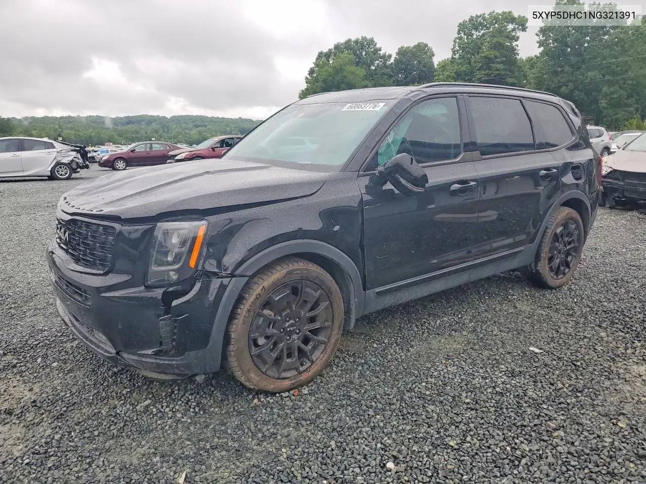 2022 Kia Telluride Sx VIN: 5XYP5DHC1NG321391 Lot: 60863776