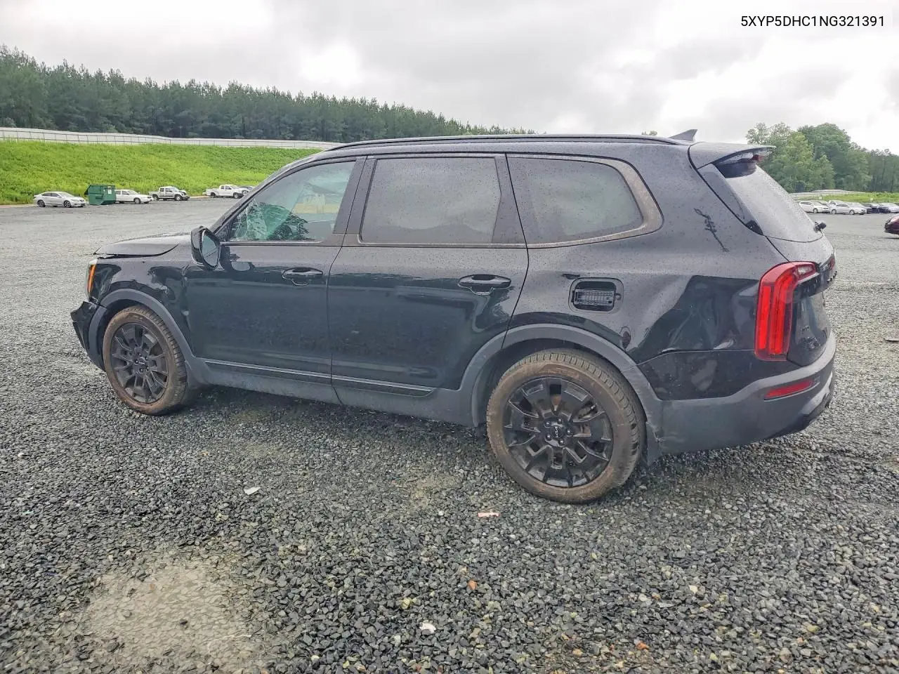 2022 Kia Telluride Sx VIN: 5XYP5DHC1NG321391 Lot: 60863776