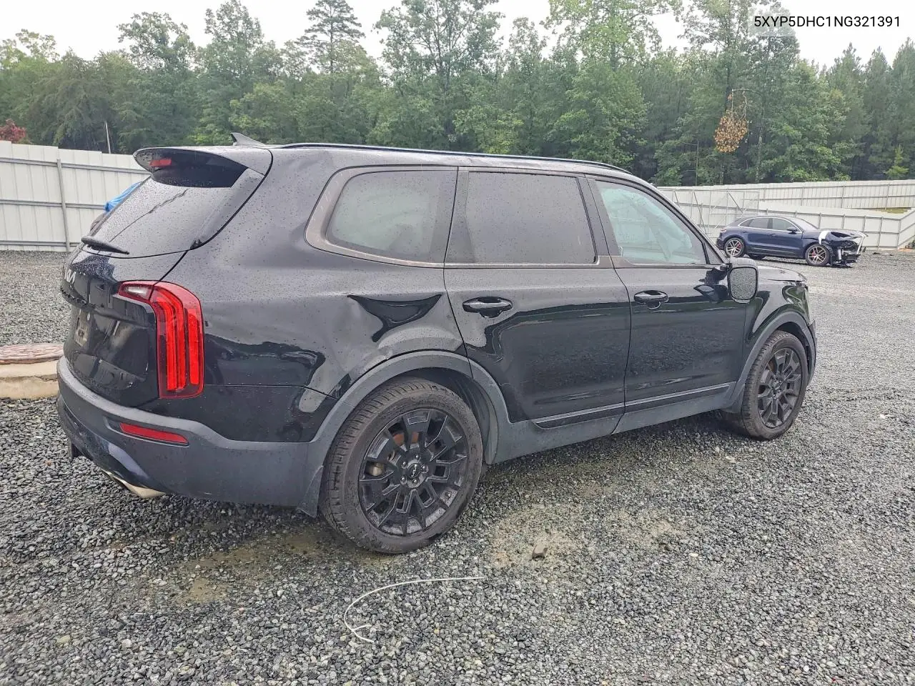 2022 Kia Telluride Sx VIN: 5XYP5DHC1NG321391 Lot: 60863776