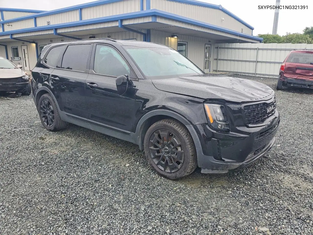 2022 Kia Telluride Sx VIN: 5XYP5DHC1NG321391 Lot: 60863776