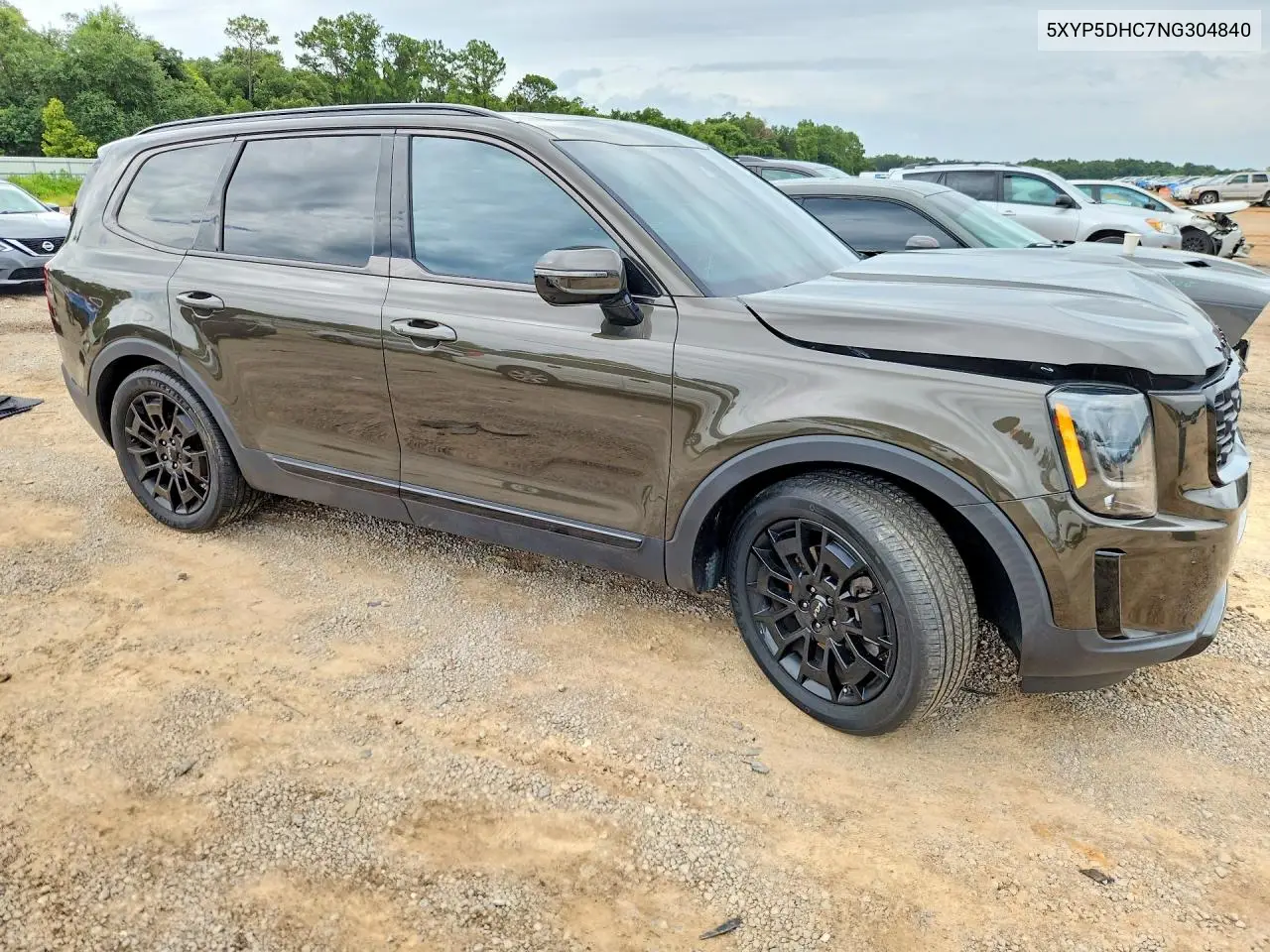 2022 Kia Telluride Sx VIN: 5XYP5DHC7NG304840 Lot: 60939696