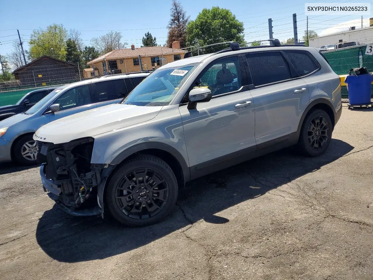 2022 Kia Telluride Ex VIN: 5XYP3DHC1NG265233 Lot: 60980856