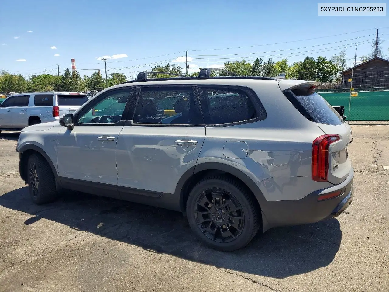 2022 Kia Telluride Ex VIN: 5XYP3DHC1NG265233 Lot: 60980856