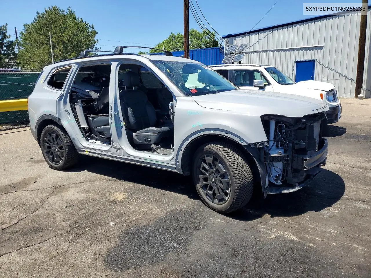 2022 Kia Telluride Ex VIN: 5XYP3DHC1NG265233 Lot: 60980856