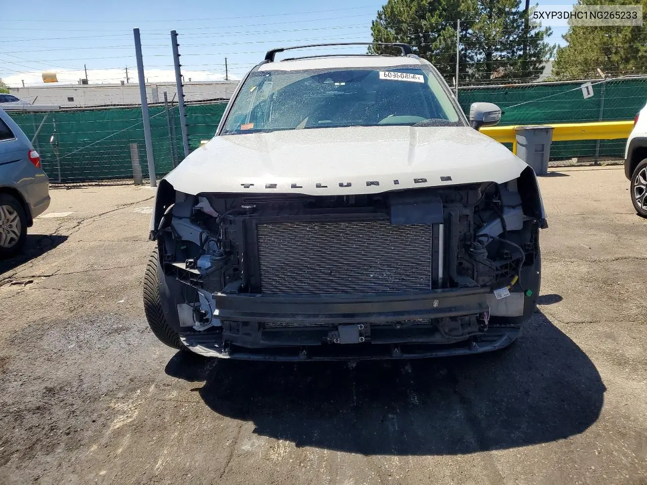 2022 Kia Telluride Ex VIN: 5XYP3DHC1NG265233 Lot: 60980856