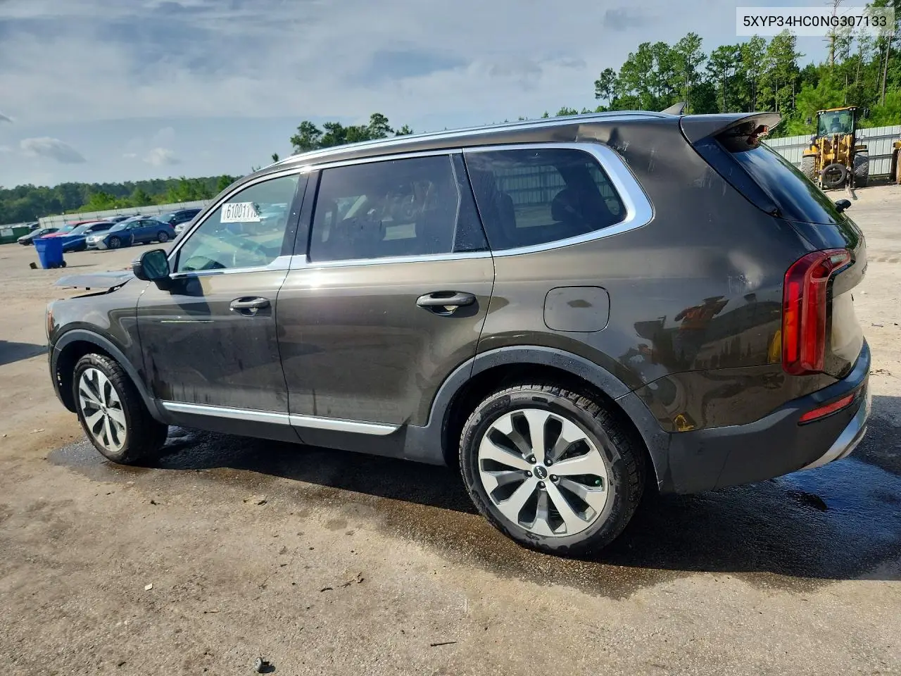 2022 Kia Telluride Ex VIN: 5XYP34HC0NG307133 Lot: 61001116
