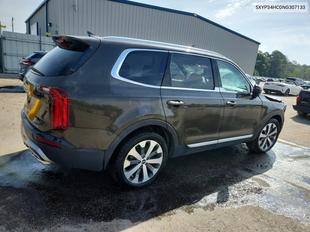 2022 Kia Telluride Ex VIN: 5XYP34HC0NG307133 Lot: 61001116