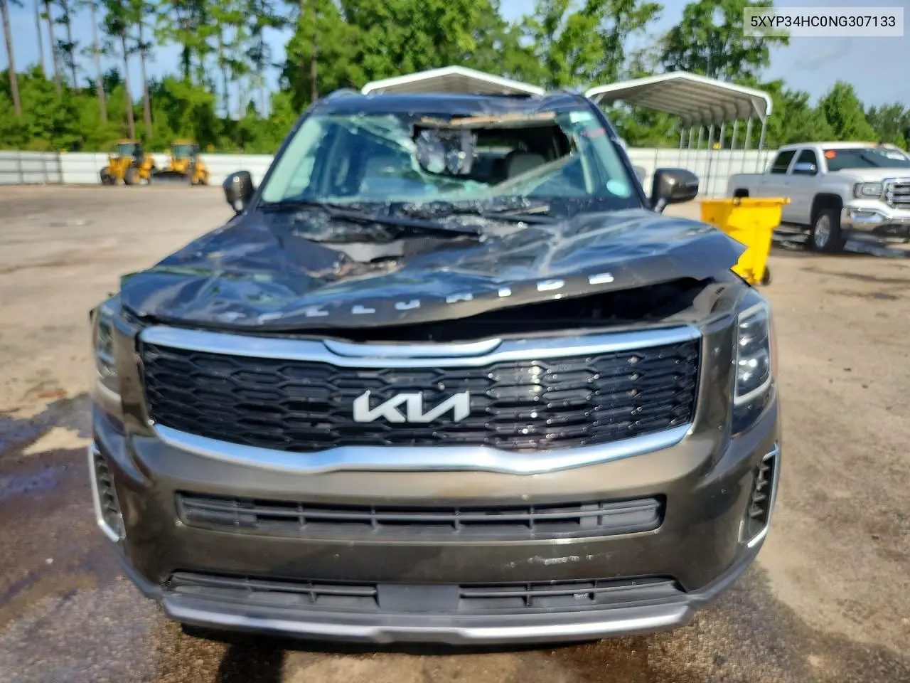 2022 Kia Telluride Ex VIN: 5XYP34HC0NG307133 Lot: 61001116