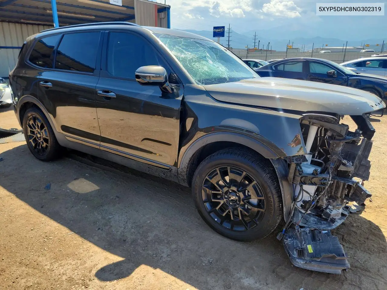 2022 Kia Telluride Sx VIN: 5XYP5DHC8NG302319 Lot: 61062066