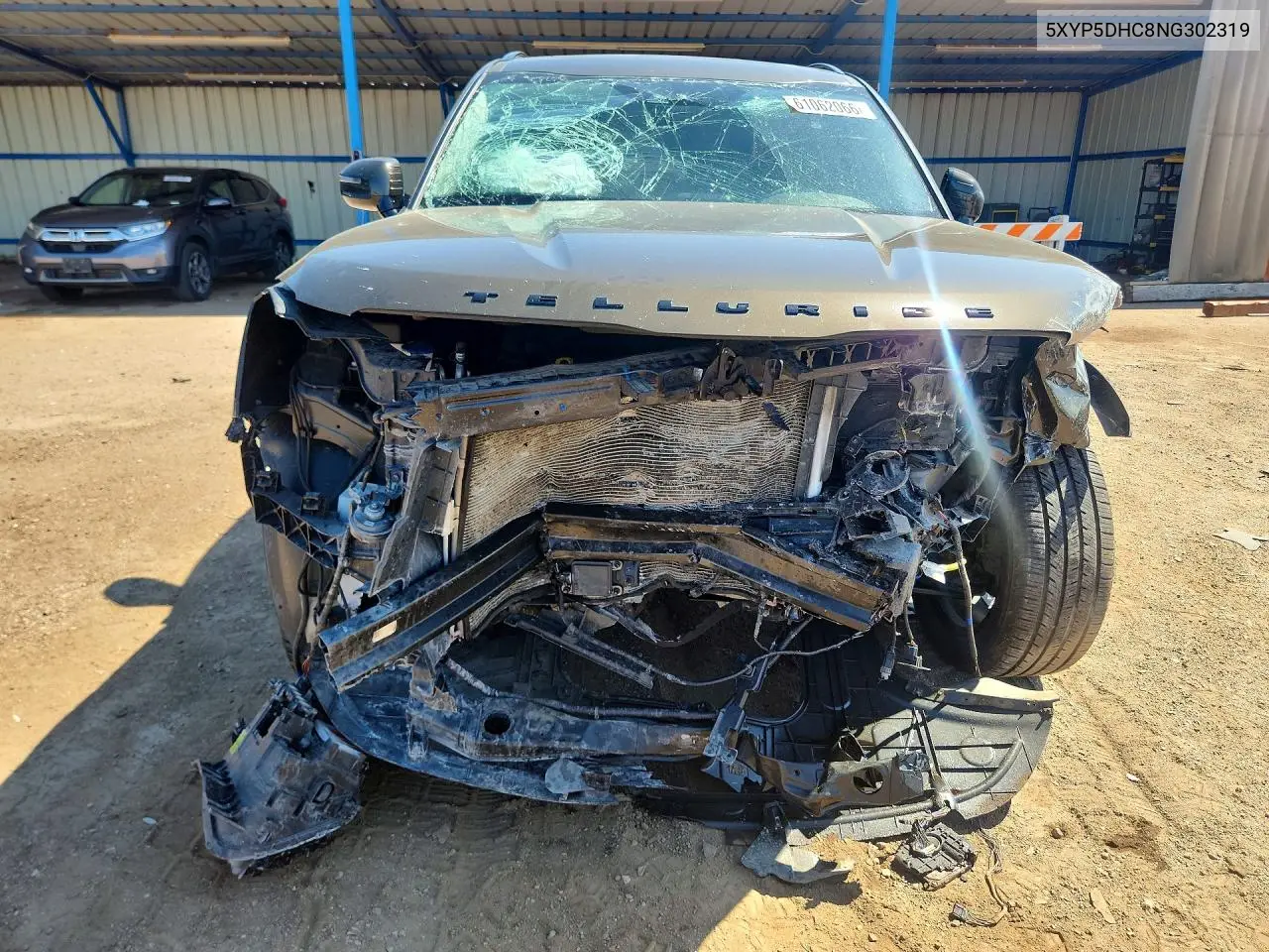 2022 Kia Telluride Sx VIN: 5XYP5DHC8NG302319 Lot: 61062066