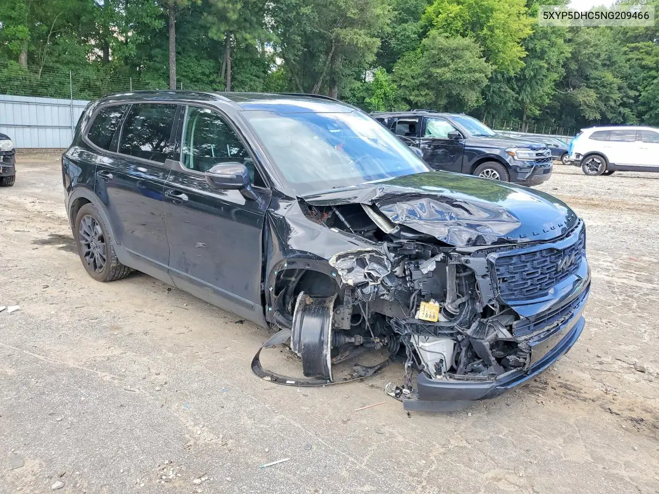 2022 Kia Telluride Sx VIN: 5XYP5DHC5NG209466 Lot: 61103226