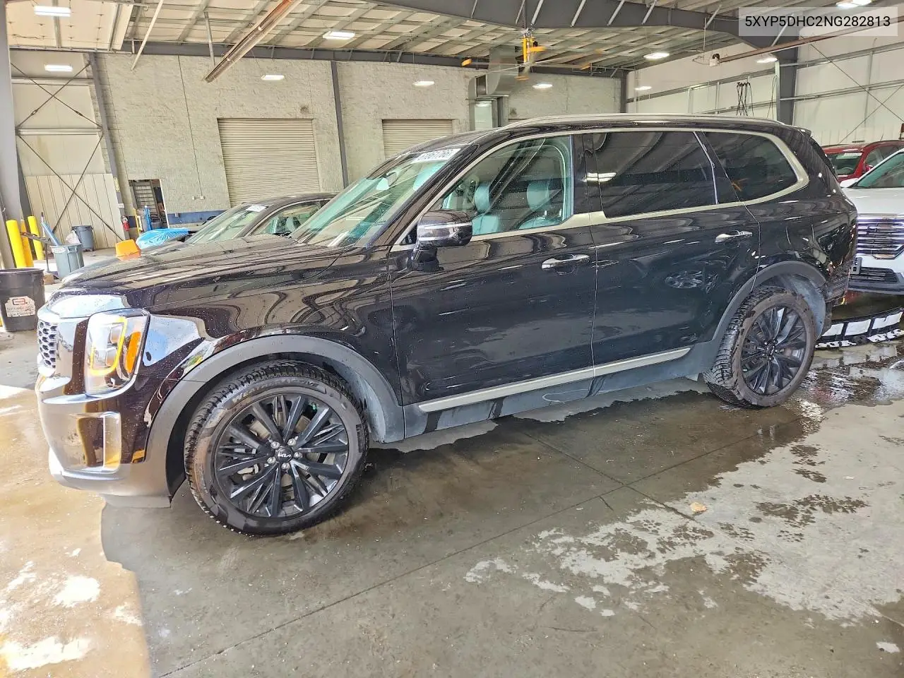 2022 Kia Telluride Sx VIN: 5XYP5DHC2NG282813 Lot: 61861766