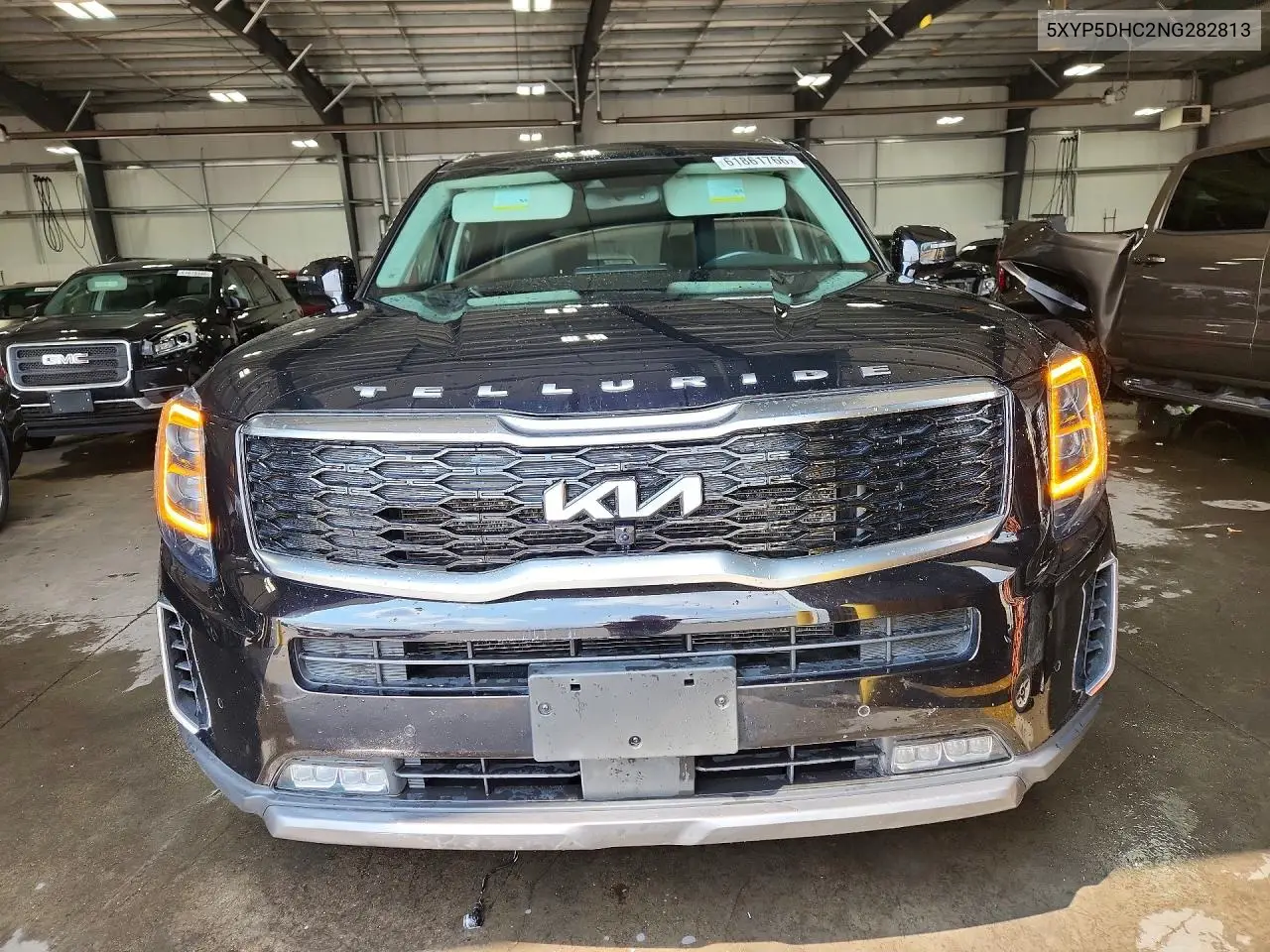 2022 Kia Telluride Sx VIN: 5XYP5DHC2NG282813 Lot: 61861766