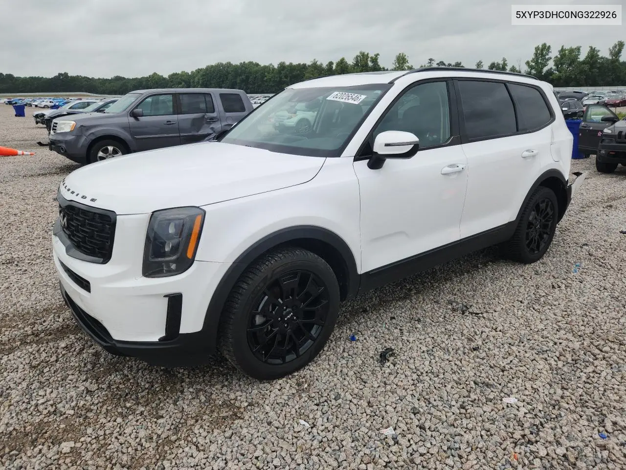 2022 Kia Telluride Ex VIN: 5XYP3DHC0NG322926 Lot: 62026546
