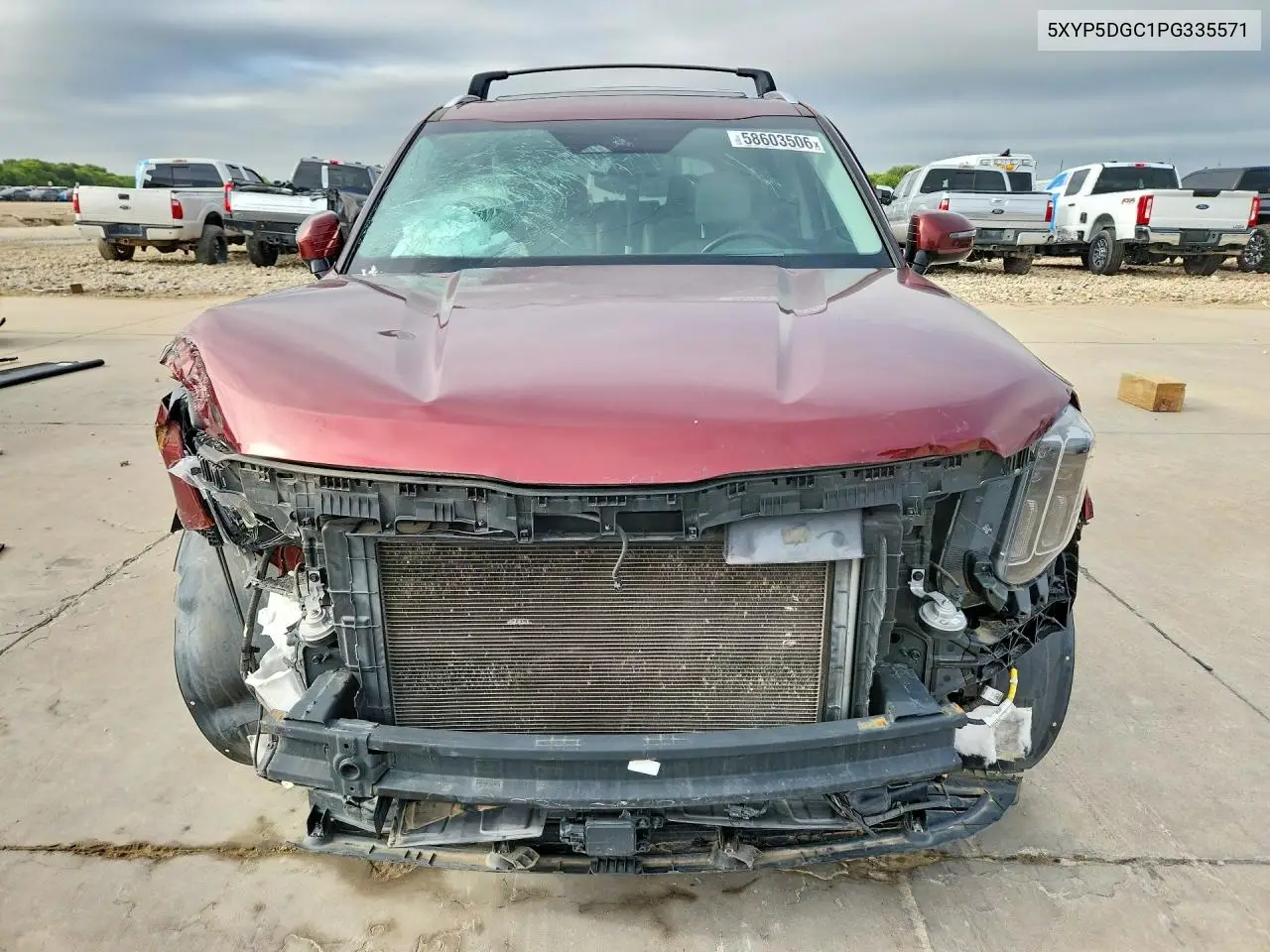 2023 Kia Telluride Sx-Prestige VIN: 5XYP5DGC1PG335571 Lot: 58603506