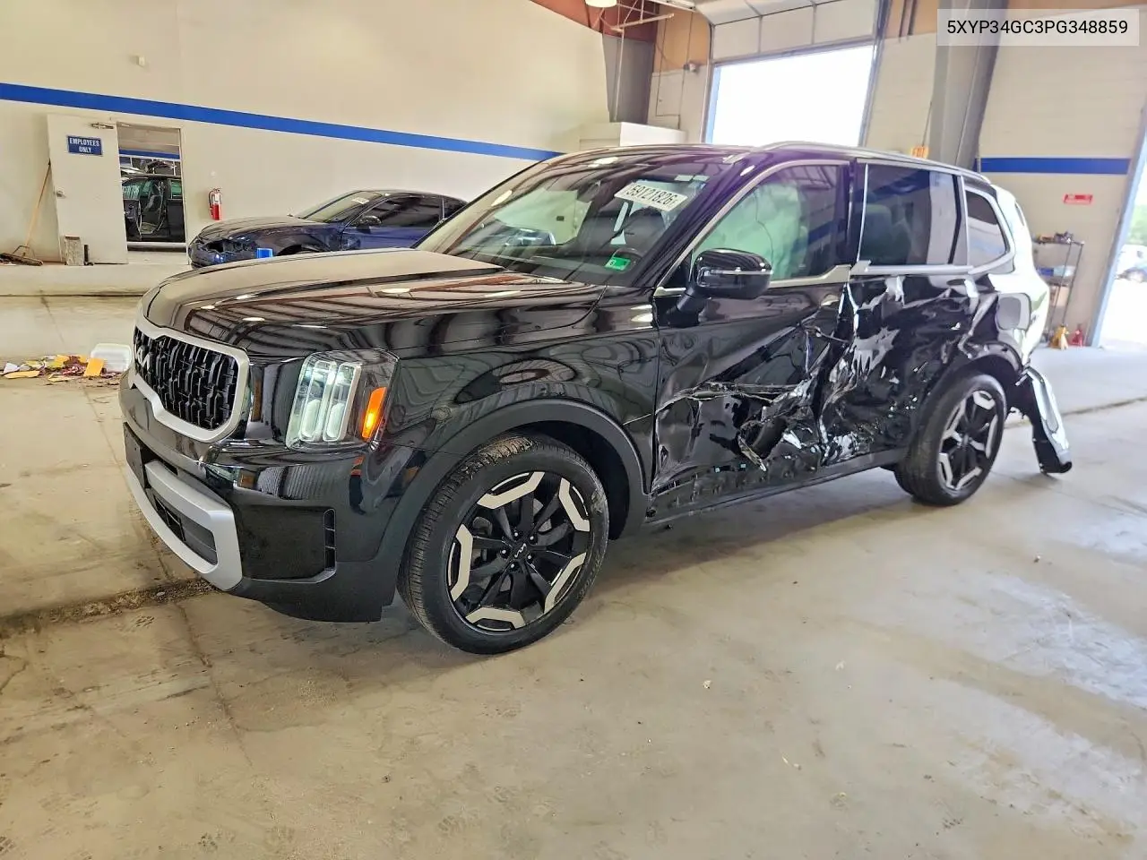 2023 Kia Telluride Ex VIN: 5XYP34GC3PG348859 Lot: 59121826