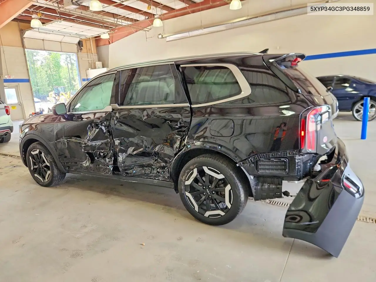 2023 Kia Telluride Ex VIN: 5XYP34GC3PG348859 Lot: 59121826