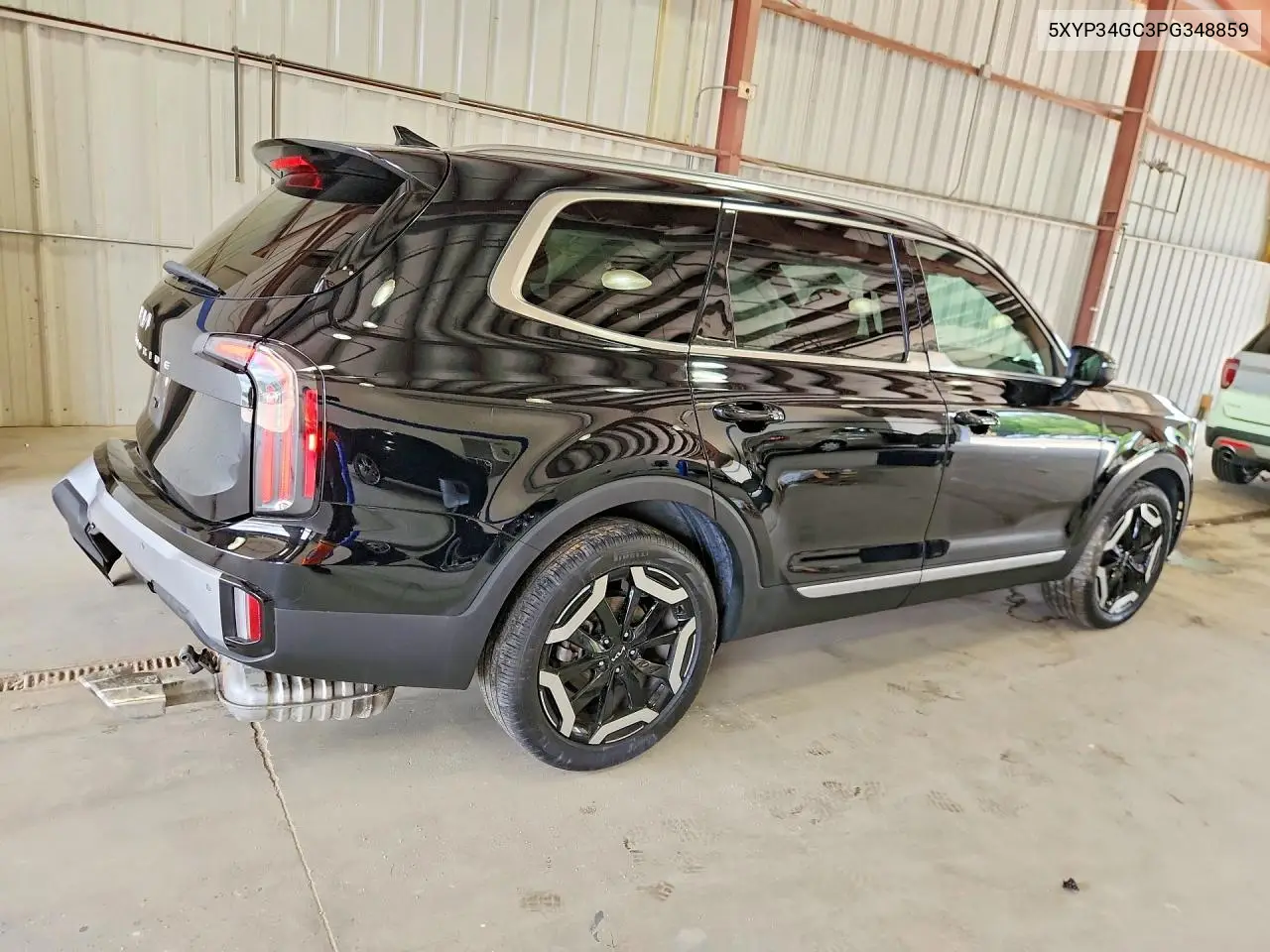 2023 Kia Telluride Ex VIN: 5XYP34GC3PG348859 Lot: 59121826