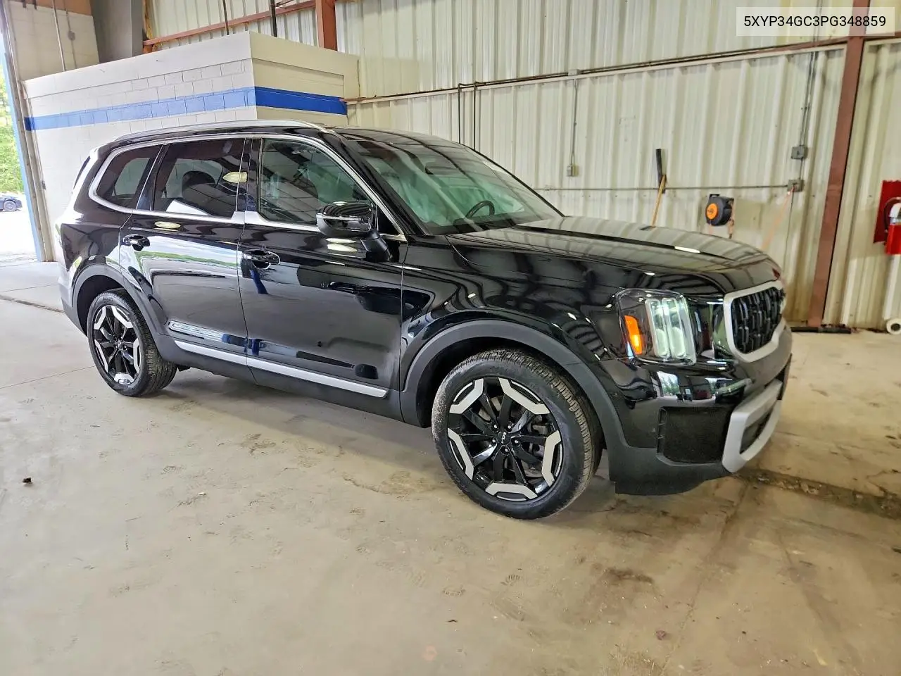 2023 Kia Telluride Ex VIN: 5XYP34GC3PG348859 Lot: 59121826