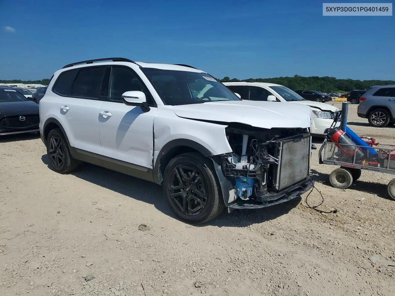 2023 Kia Telluride Ex X-Line VIN: 5XYP3DGC1PG401459 Lot: 59804466