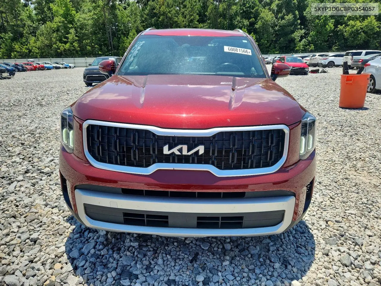2023 Kia Telluride Ex VIN: 5XYP3DGC8PG354057 Lot: 60081566