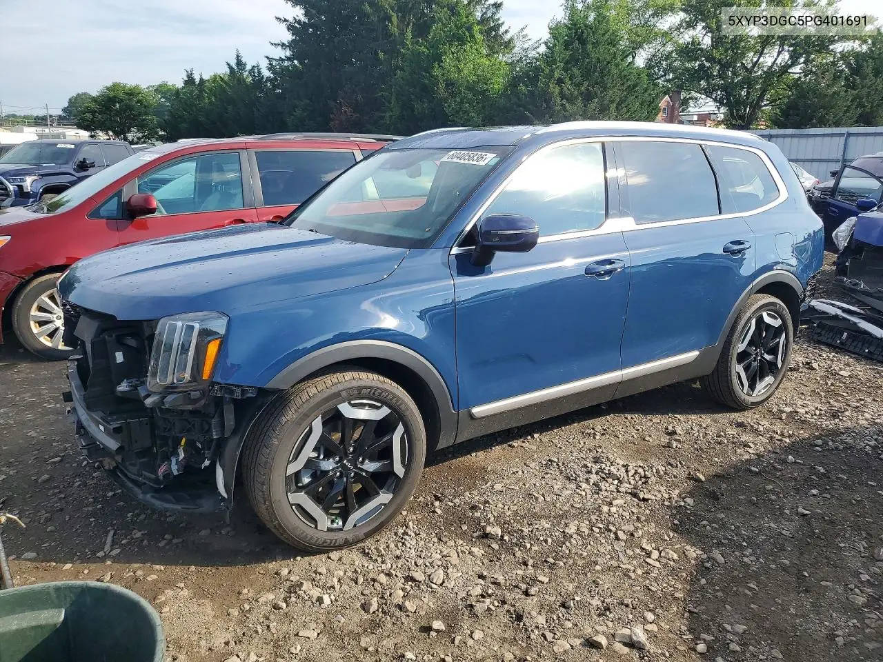 2023 Kia Telluride Ex VIN: 5XYP3DGC5PG401691 Lot: 60405836