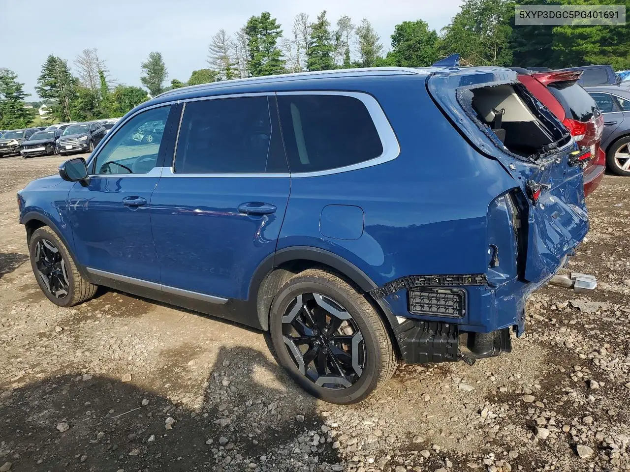 2023 Kia Telluride Ex VIN: 5XYP3DGC5PG401691 Lot: 60405836