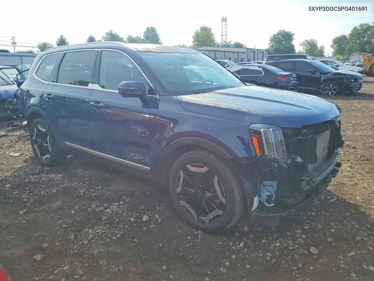 2023 Kia Telluride Ex VIN: 5XYP3DGC5PG401691 Lot: 60405836
