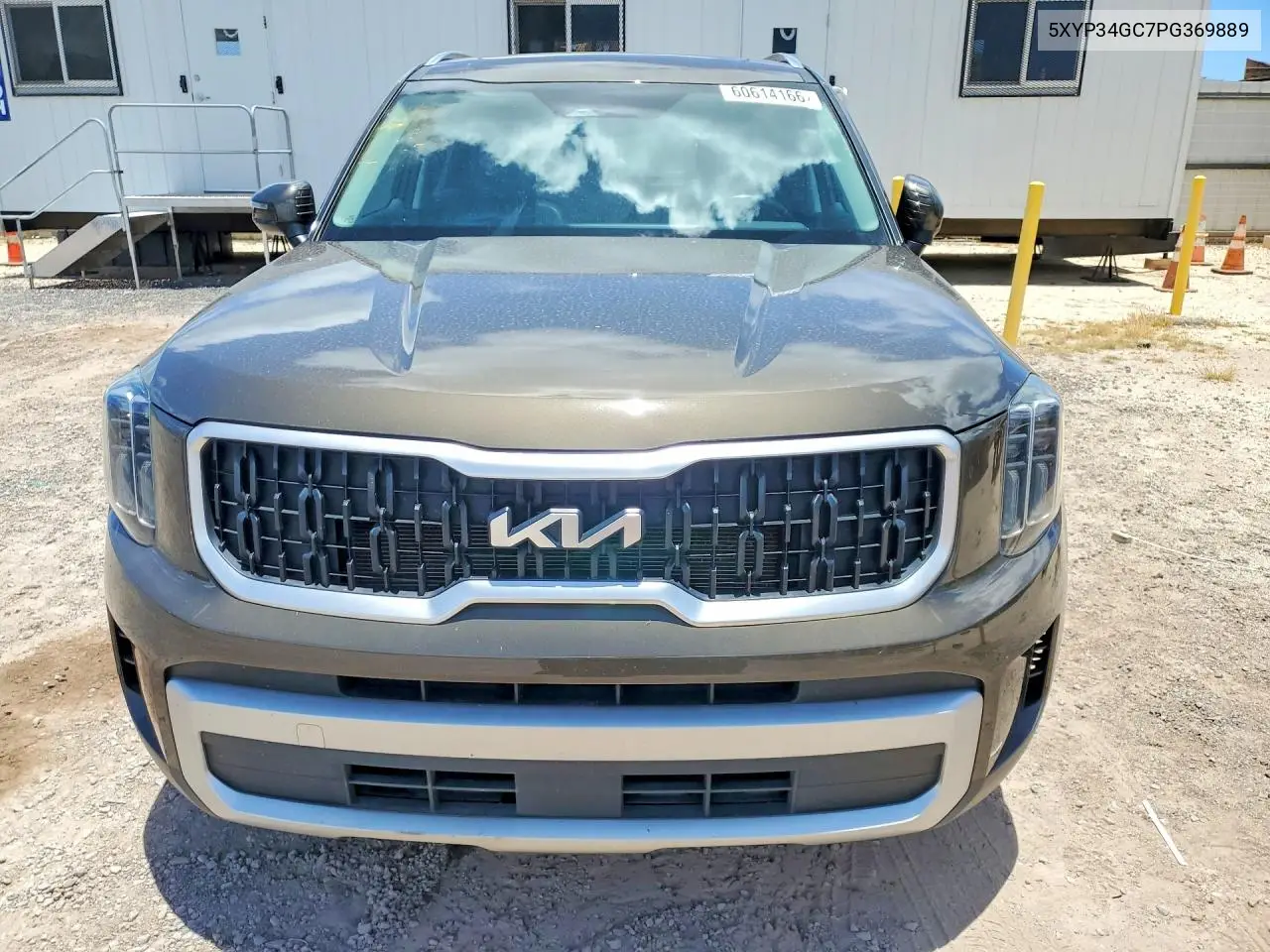 2023 Kia Telluride Ex VIN: 5XYP34GC7PG369889 Lot: 60614166